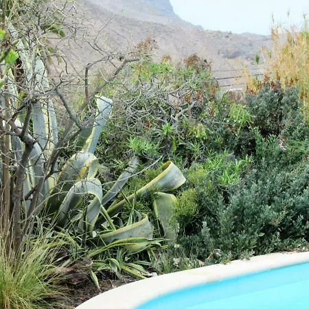 Vivelorural Casa En Risco De Con Piscina * Agaete (Gran Canaria)